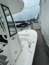 Gallery Image 18